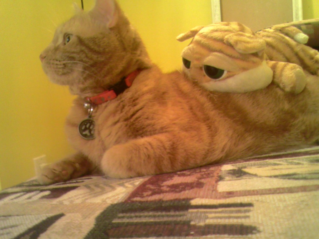 La place de l’amitié dans ce qui me réconforte