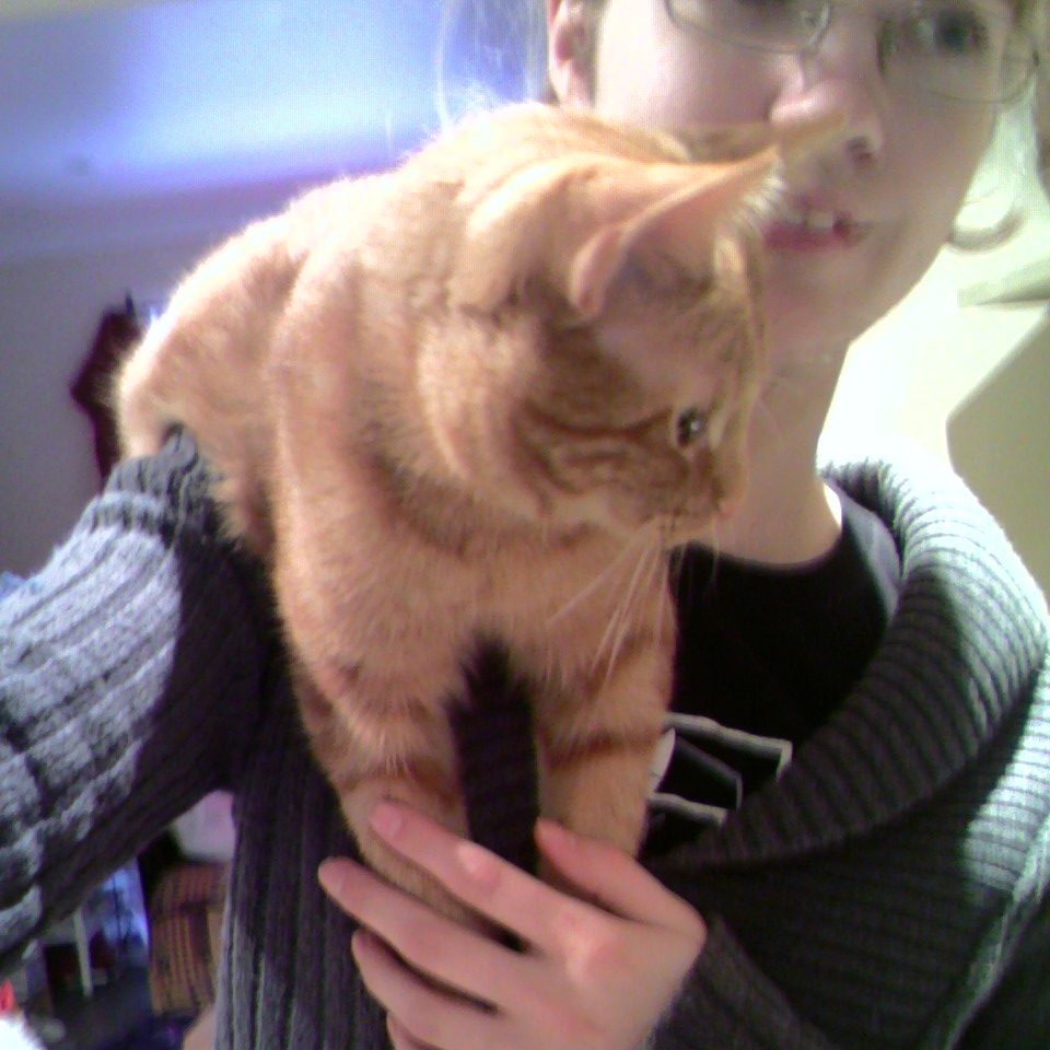 Nous étions si jeunes, Clément le chat et moi sur ce selfie pris durant sa première année de vie avec nous. Clément est installé sur mon épaule et regarde à droite, je lui tiens ses petites pattes contre ma poitrine.