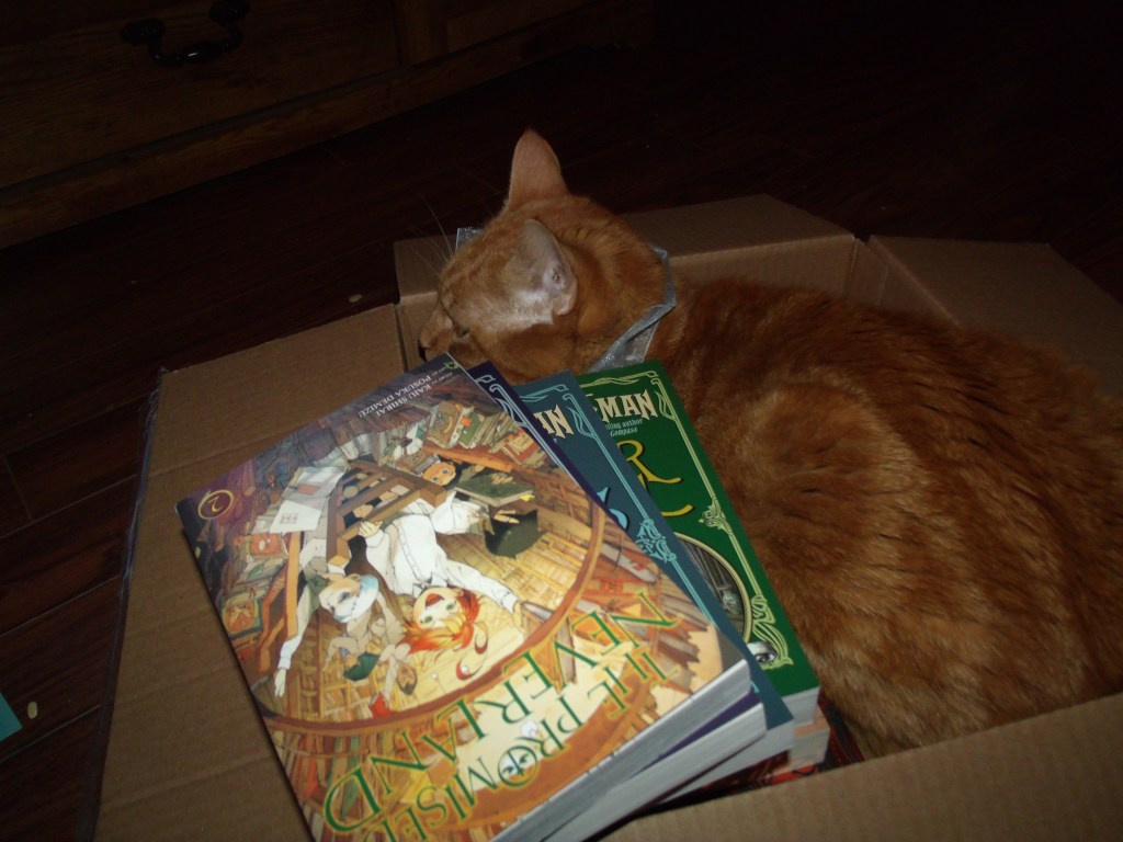 Les chats sont des lecteurs avides ou de grands&nbsp;comédiens.