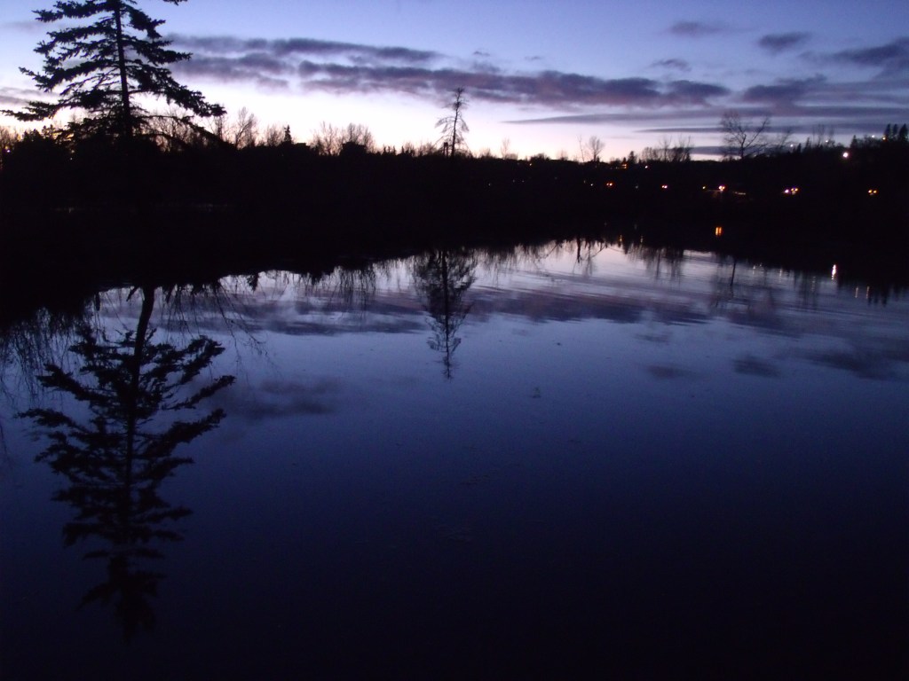 Surface d'un étang sur Prince's Island park réflétant le ciel sous ses atours entre chien et loup et la silhouette noire de deux conifères se détachant du reste de la végétation.