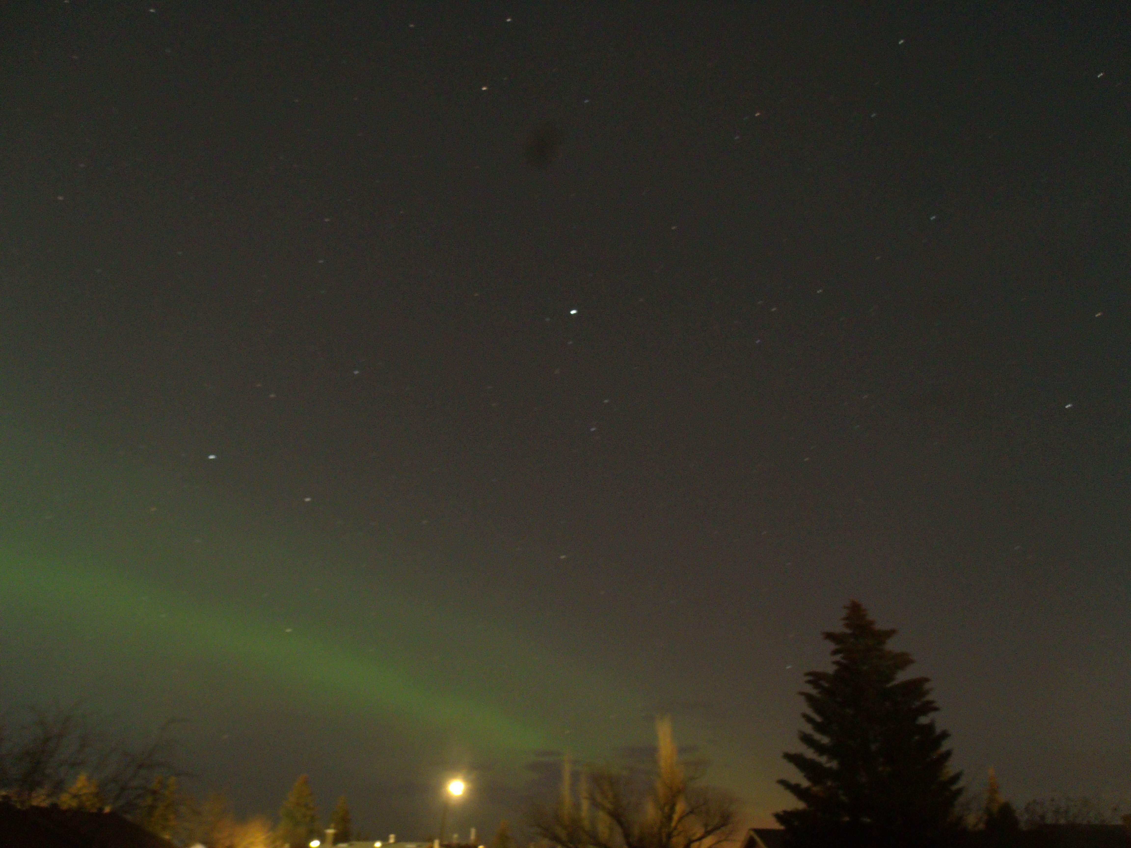 Le ciel étoilé d'un bleu profond là où des bandes un peu diffuses d'un vert électrisant le traverse, vu au-dessus de la banlieue de Calgary.