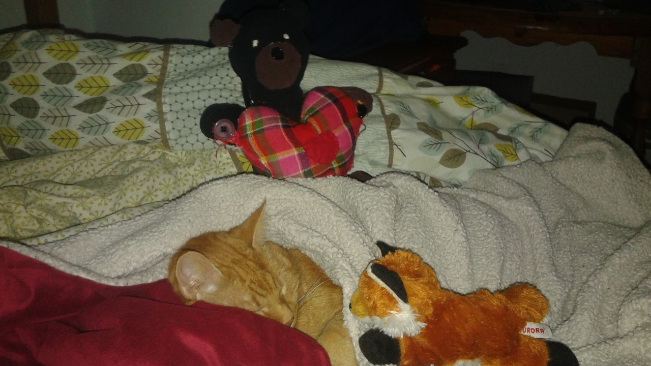 Clément le chat couché sur le lit, sous les couvertures, seul sa tête sort. Il a les yeux clos et fait face à Tenzen la peluche renard. Derrière eux se tient Mr. Bear, la peluche ourson noire qui tient un gros coeur rose entre ses pattes.