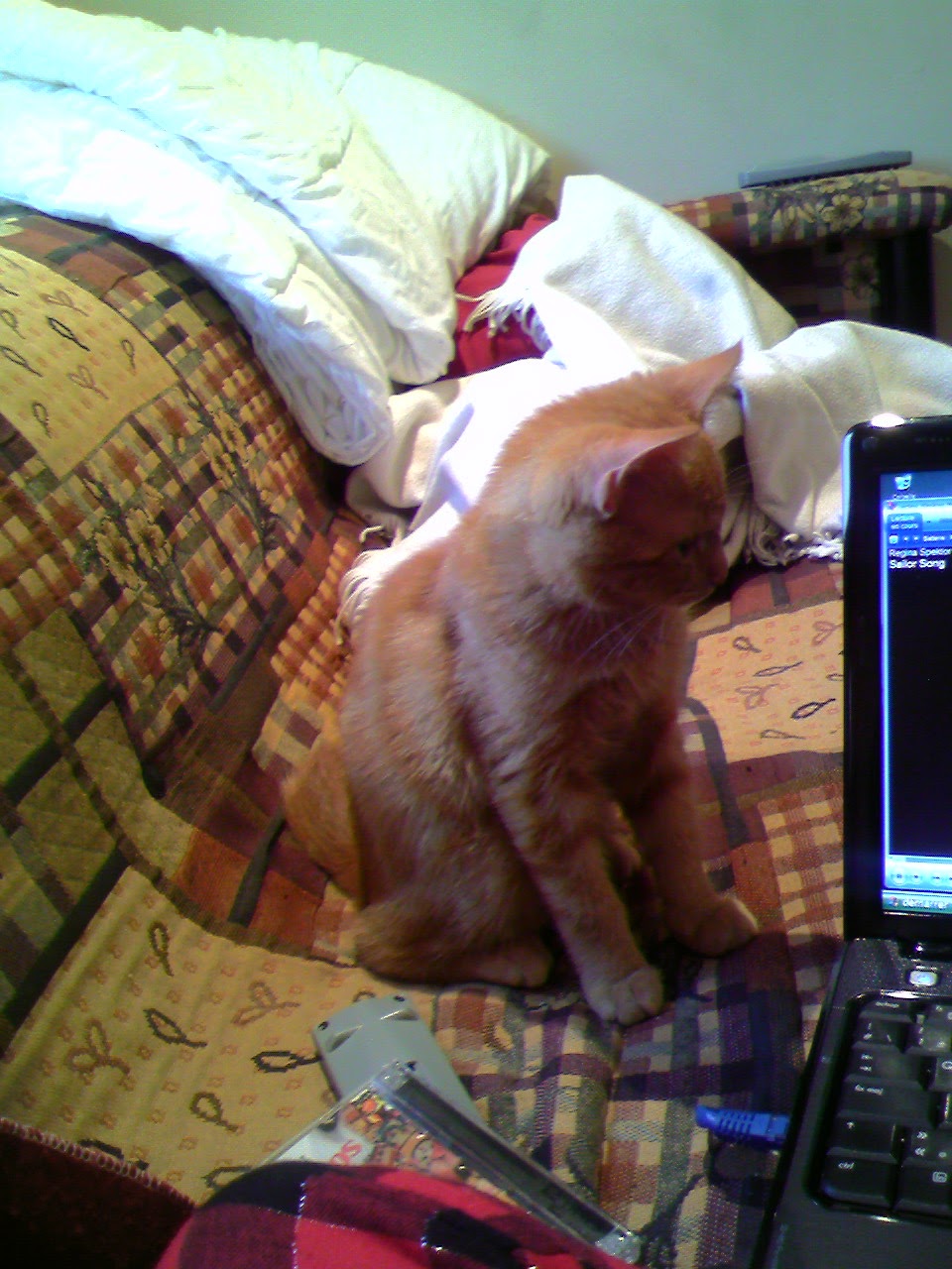 Jeu de miroirs ou&nbsp;pas…