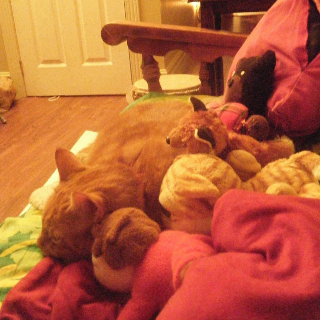 Clément le chat de profil, allongé, yeux mi-clos, sur le canapé. Derrière et contre lui sont couchés les peluches de Ponyo, Clément II,  Tenzen et Mr. Bear.