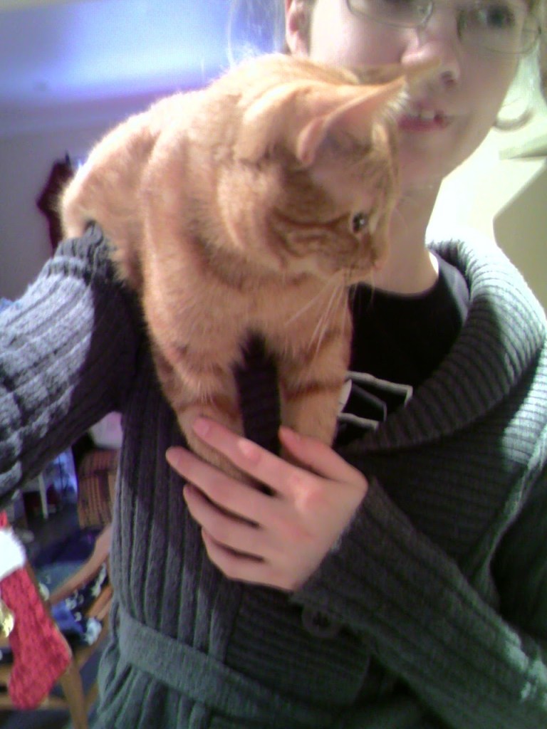 Selfie de moi portant Clément le chat sur mon épaule, une main hors champs tenant le cellulaire et l'autre main tenant légèrement les pattes avant avant de Clément qui regarde vers la droite. Mon visage est mal cadré.