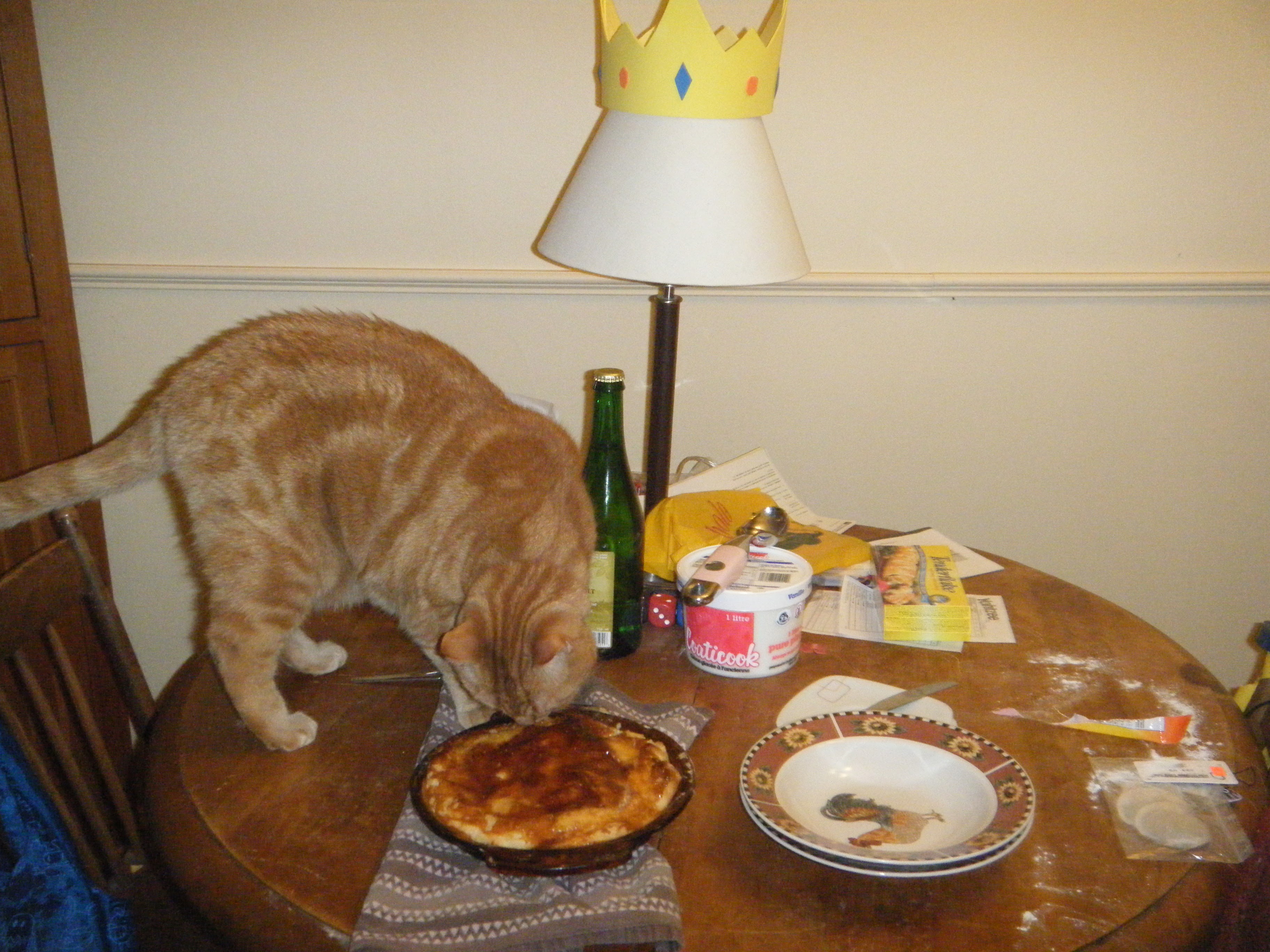 Clément le chat est debout sur la table de cuisine, il sent la galette des rois fraîchement sortie du four avant que nous la servions.