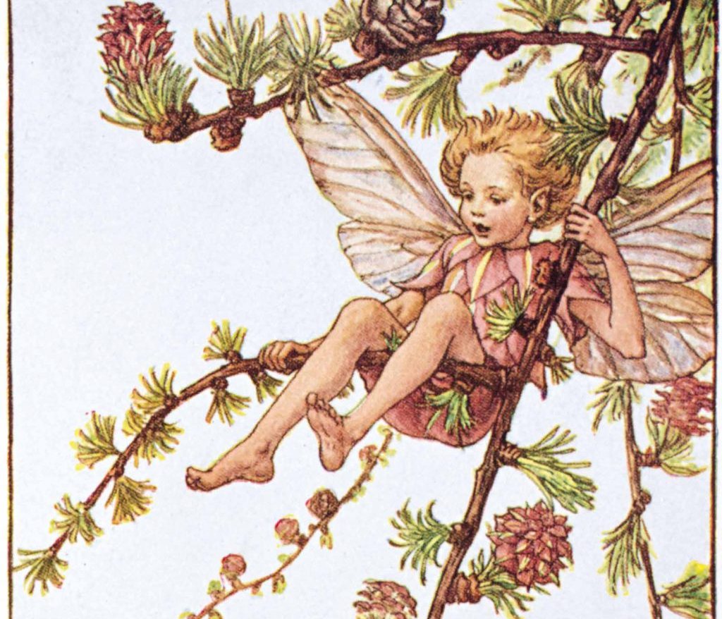 Fairy Friday / Vendredi des&nbsp;fées