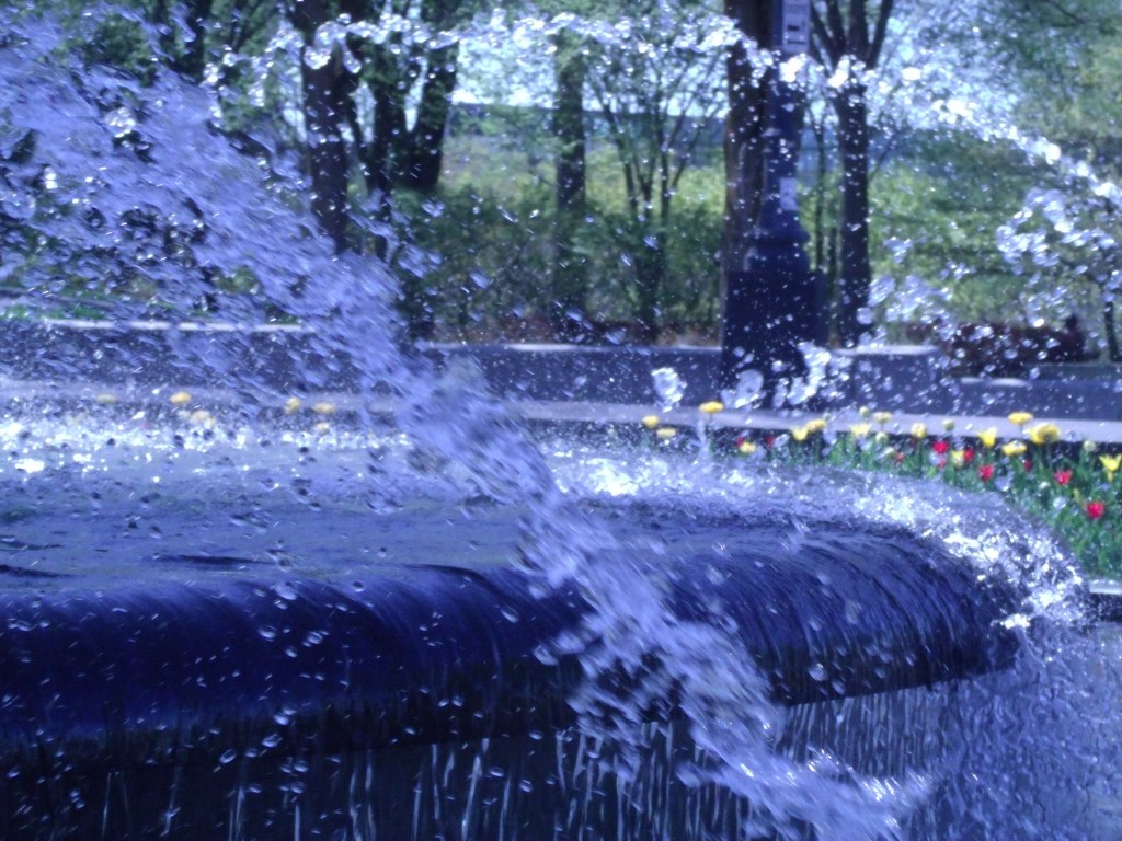 Gros plan d'un des jets de la fontaine, en arrière, on voit le parterre couvert de tulipes en fleur.