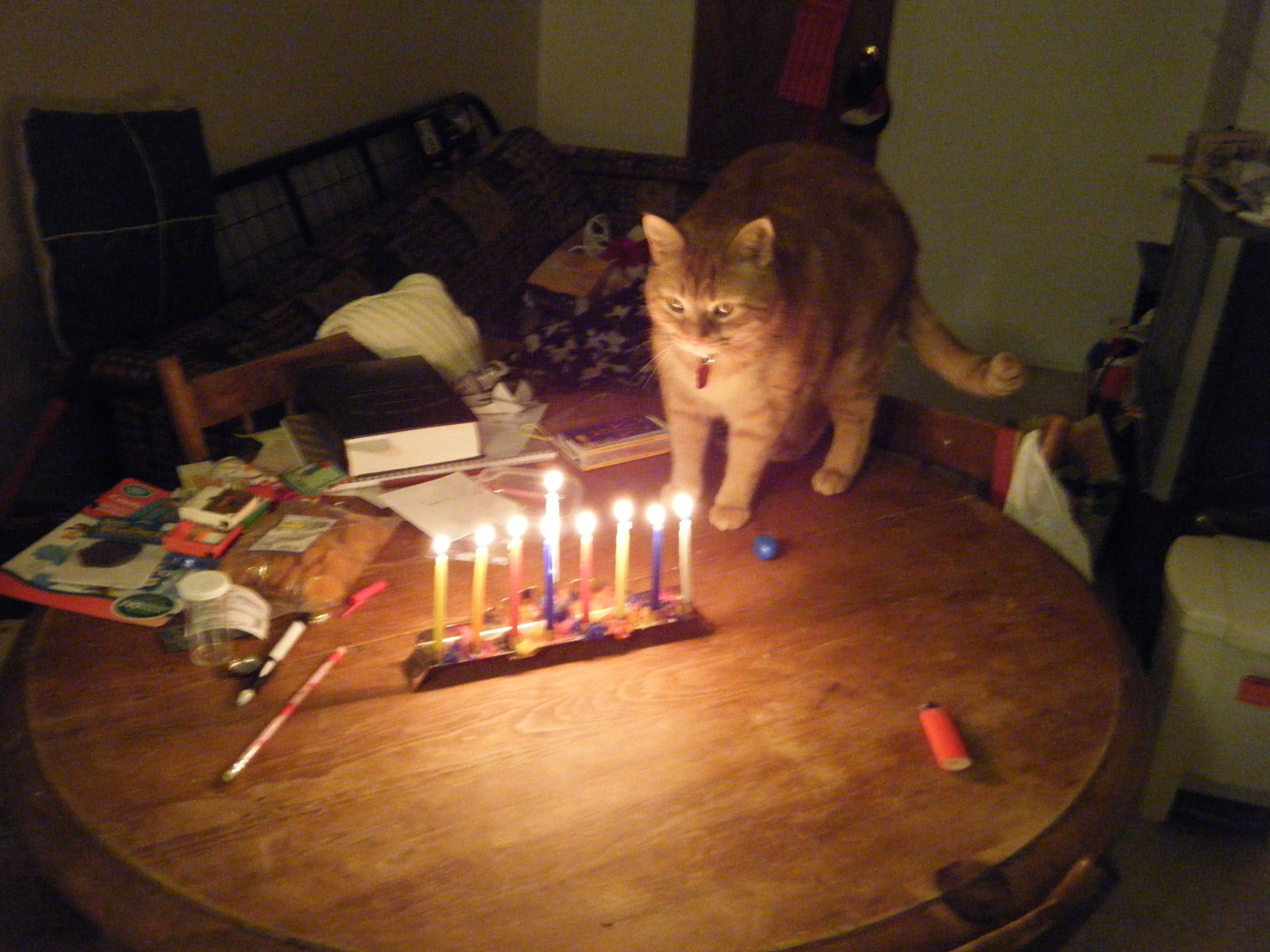 Au dernier soir d'Hanouka, Clément est debout sur la table, les yeux fixés sur la menorah enflammée de toutes ses chandelles.