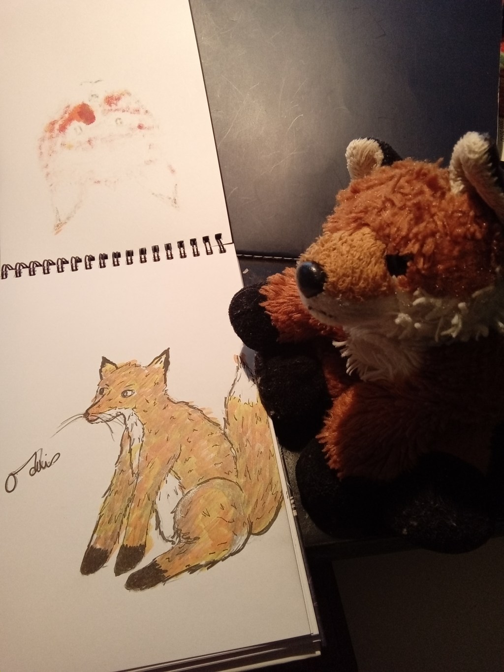 Dessine-moi un renard