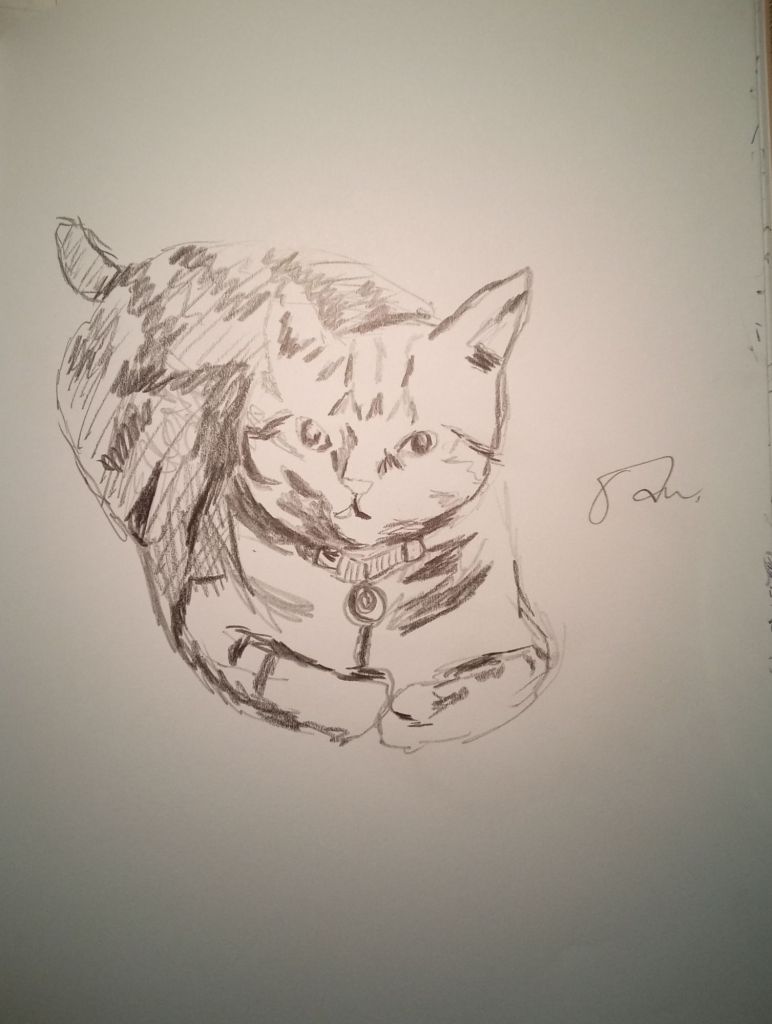 Portrait de Clément le chat qui est allongé façon miche de pain sur le plancher, il fixe la caméra.