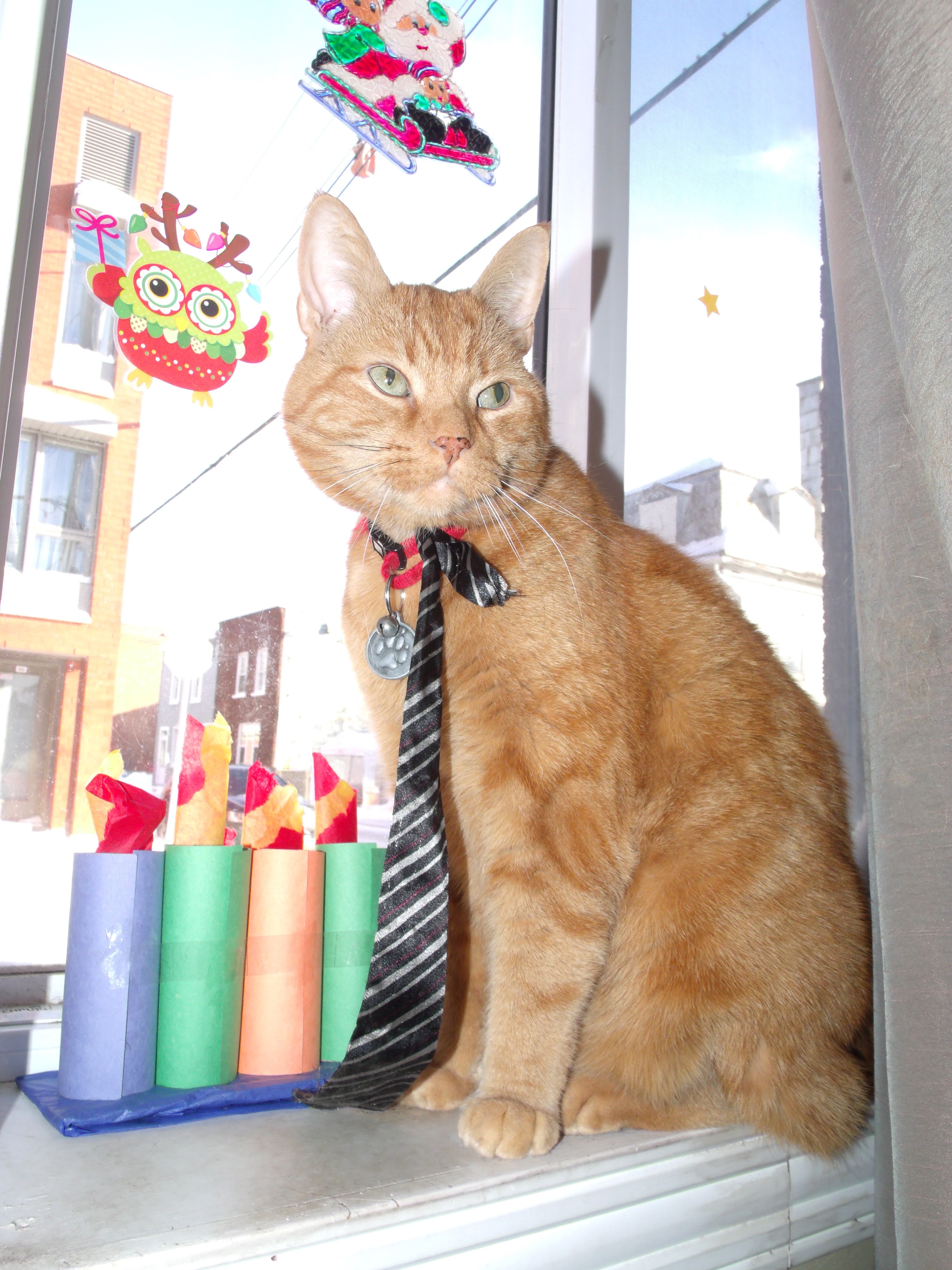 Clément le chat, portant sa cravate noire rayée argenté, est assis sur le rebord de la fenêtre à côté d'une menorah en carton et papier, la fenêtre est aussi décorée d'accessoires de Noël.