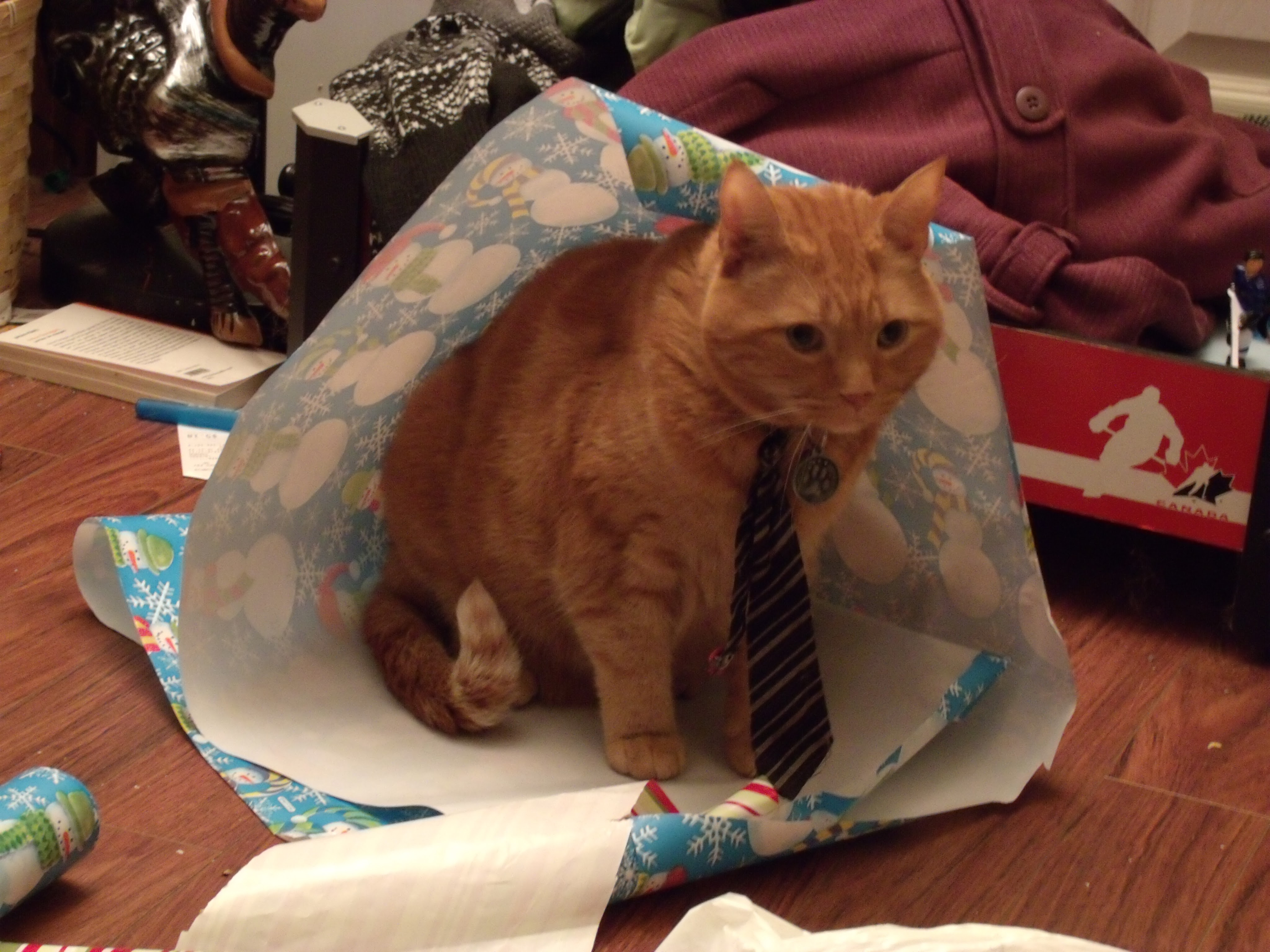 Clément porte sa cravate assis sous une couche de papier d'emballage des Fêtes.