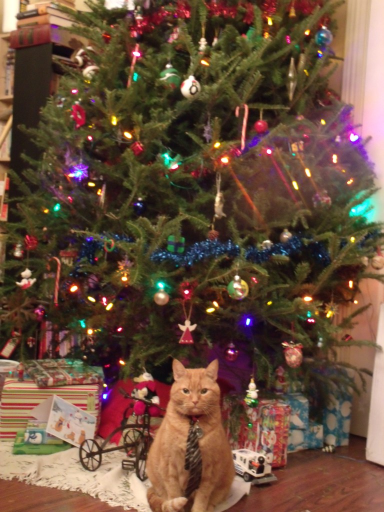 Clément le chat est assis, posant stoïquement pour la caméra, devant le sapin décoré et rempli de cadeaux.