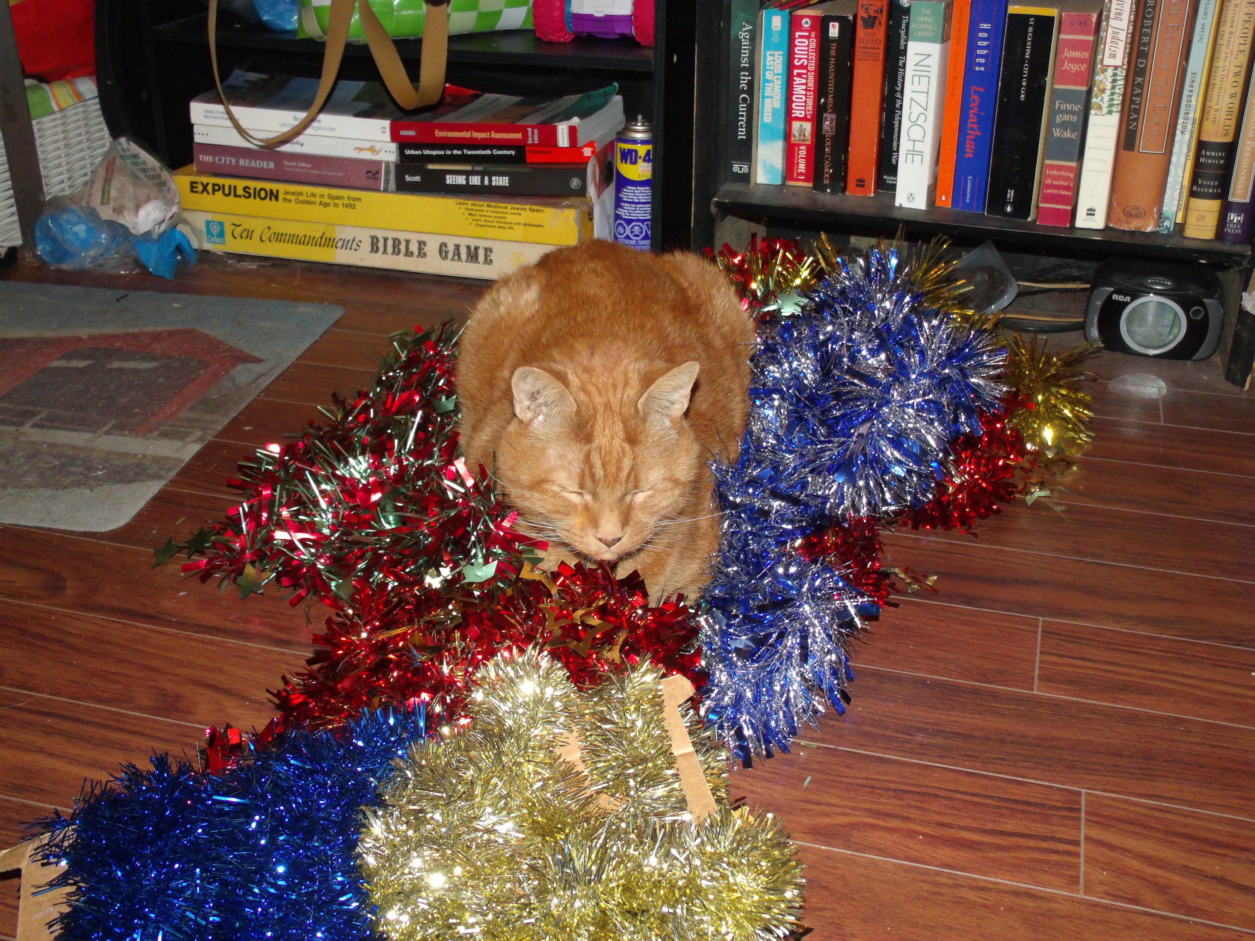 Clément le chat est couché sur un vaste assortiment de guirlandes, les yeux fermées..