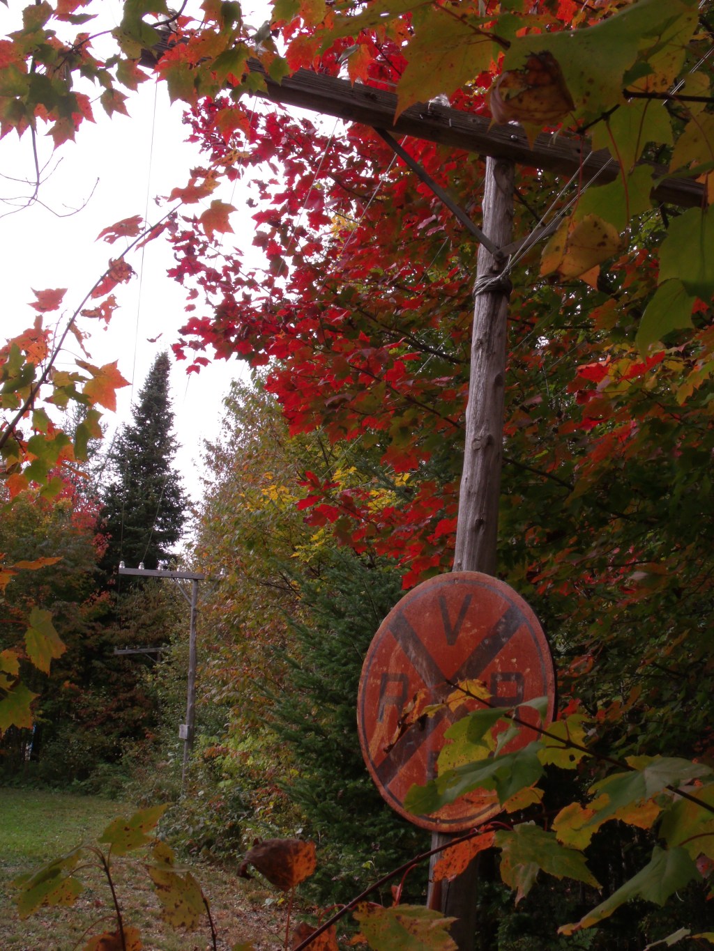 Pas un poil dans ma soupe aux carottes, pommes et&nbsp;gingembre