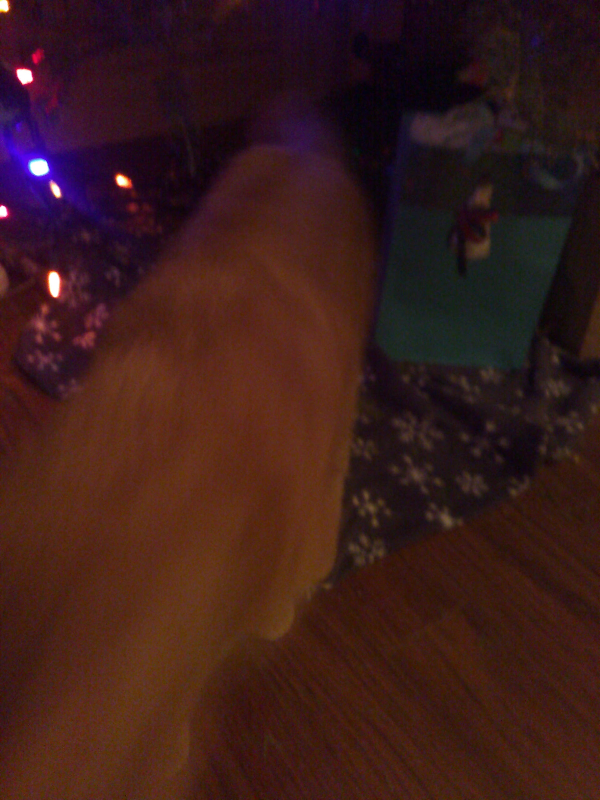 Flou, en mouvement, Clément fouille sous le sapin parmi les cadeaux.