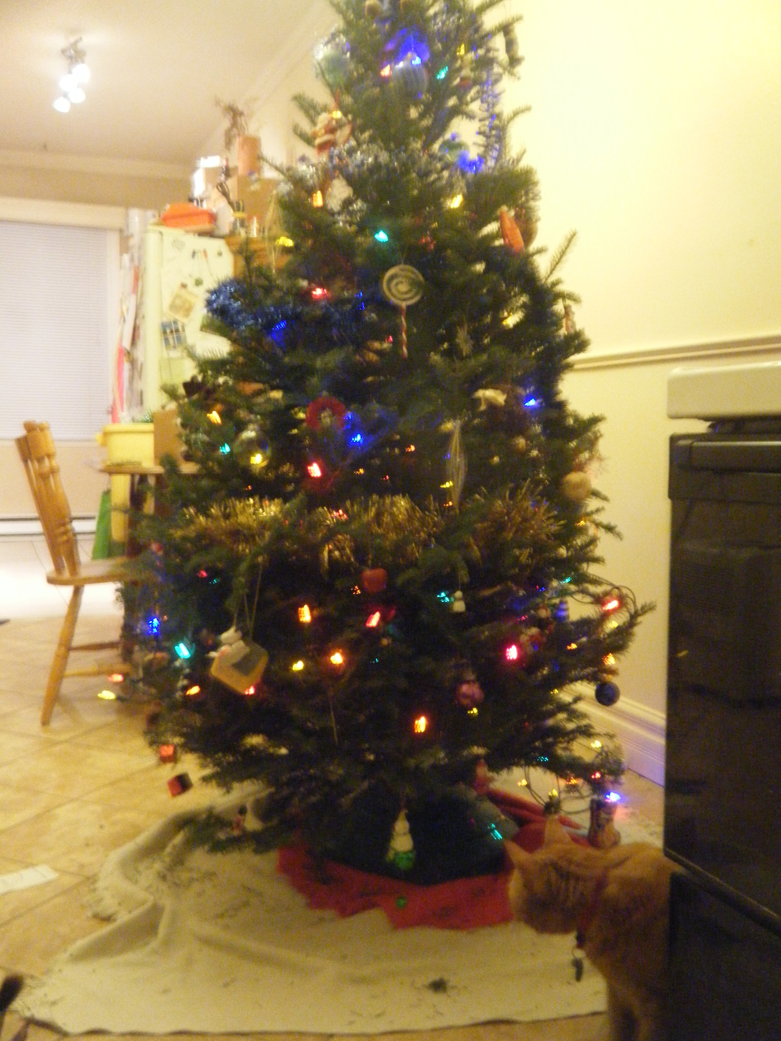 Le sapin est vu presque de pied en tête, manque un peu pour la tête, tout décoré, Clément est assis à quelques pas, derrière le vieux four, la tête tournée et légèrement penché vers le sapin.