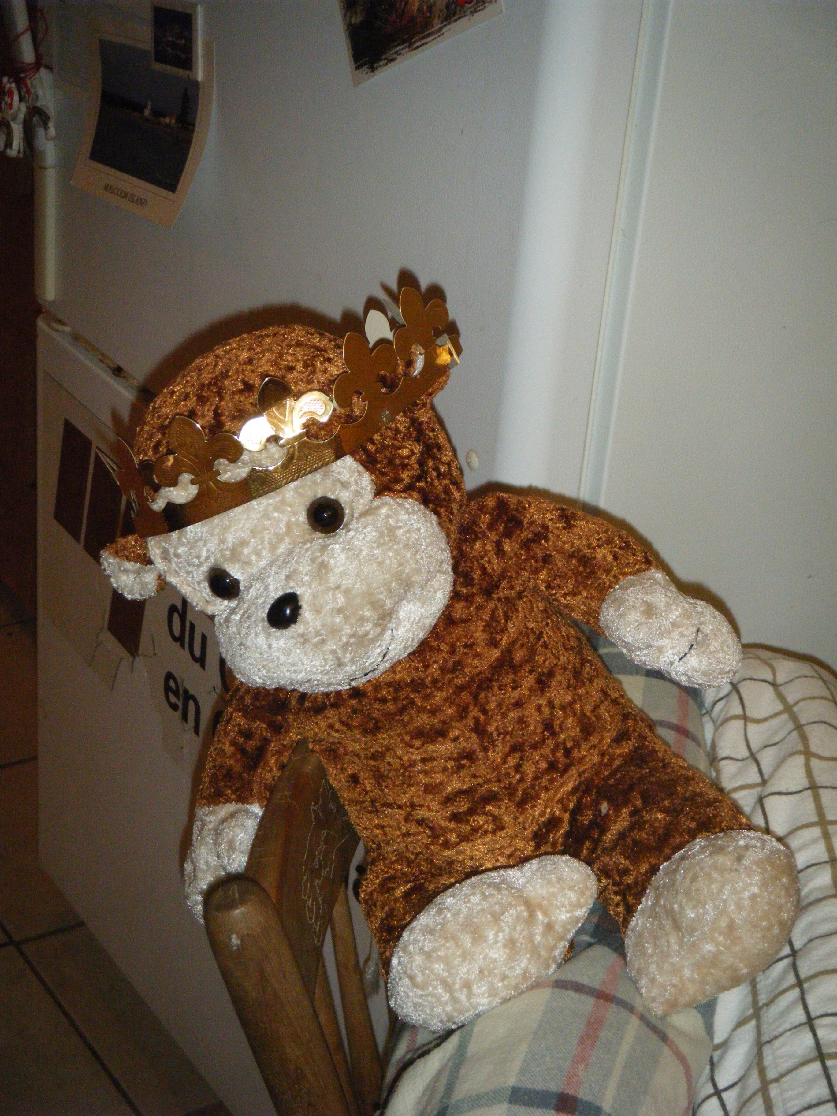 Jop la peluche singe aussi grande que Clément le chat était est coiffé de la couronne dorée en papier.