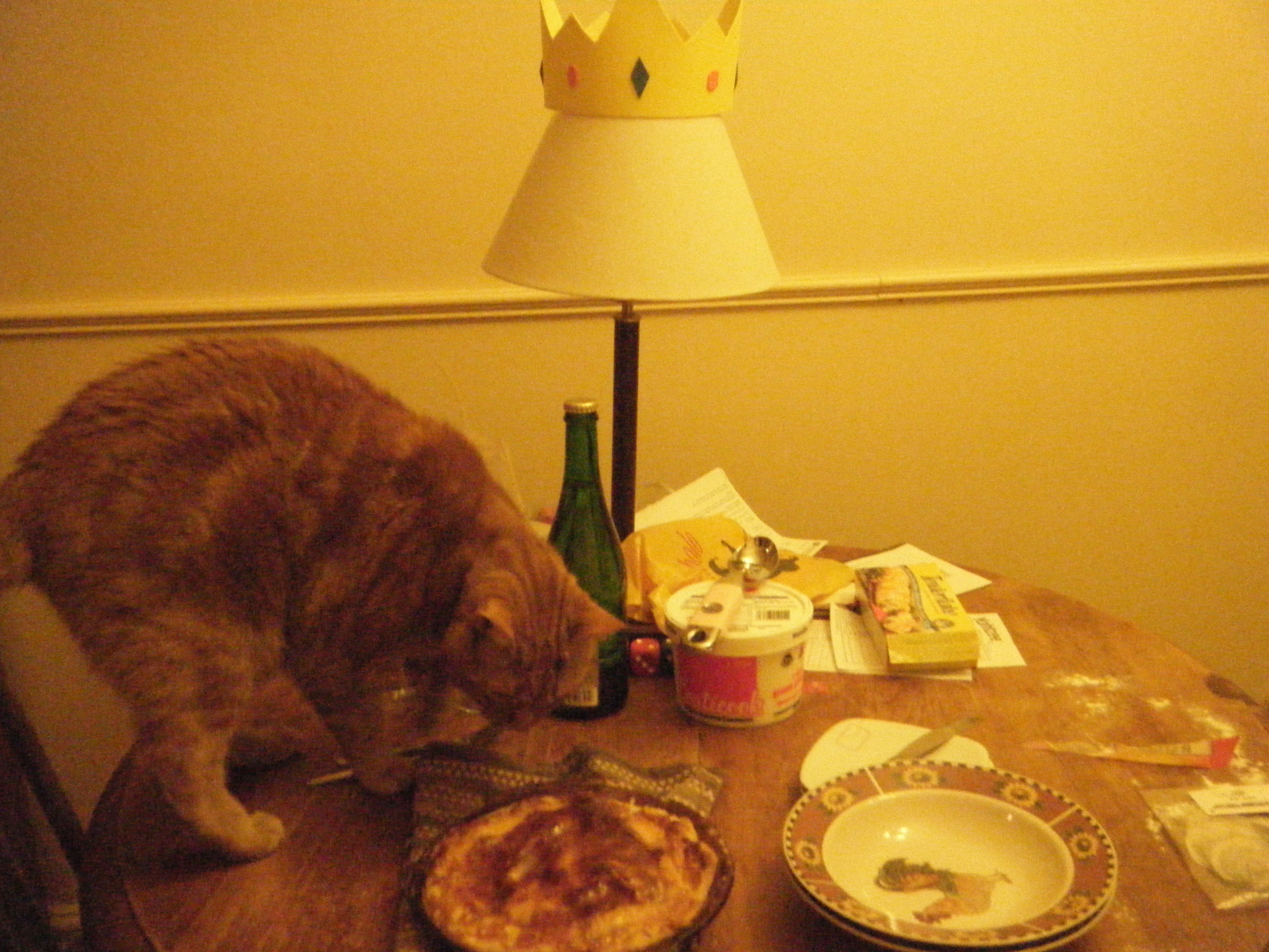 Clément le chat debout sur la table est derrière la galette des rois à la frangipane, on le voit de face, corps de profil, tête penchée vers la galette.