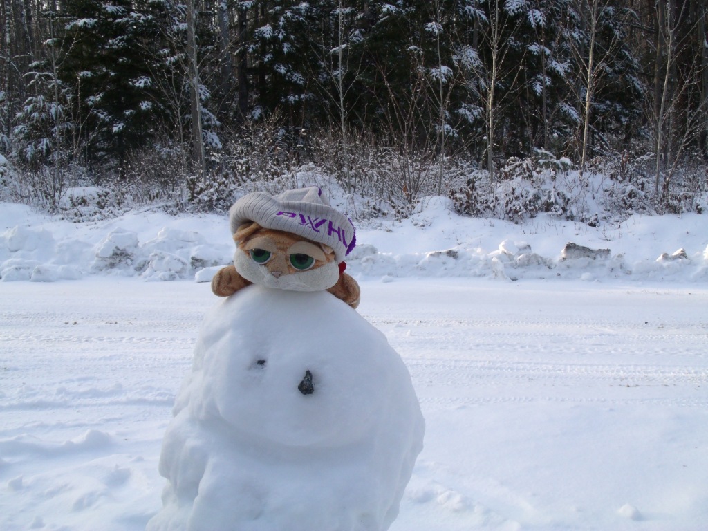 Clément II la peluche chat est dehors dans la neige, il repose sur la tête d'un bonhomme de neige.