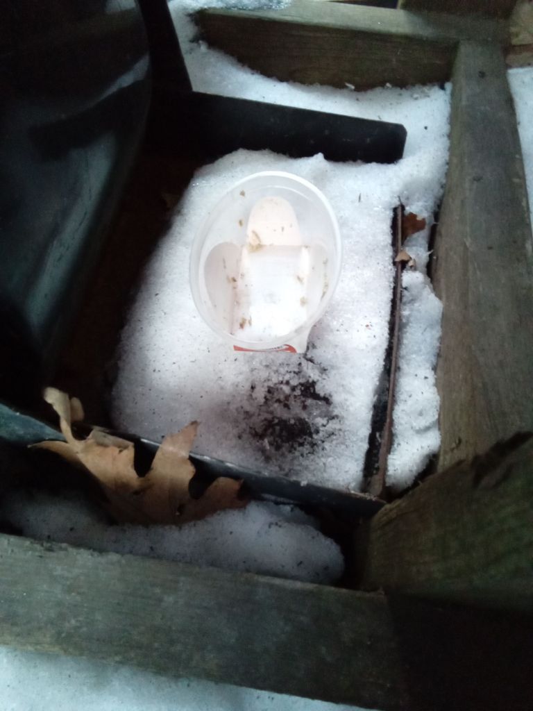 Le contenant de plastique posé sur la mince couche de neige ne contient plus que quelques traces de thon séché et de poussière