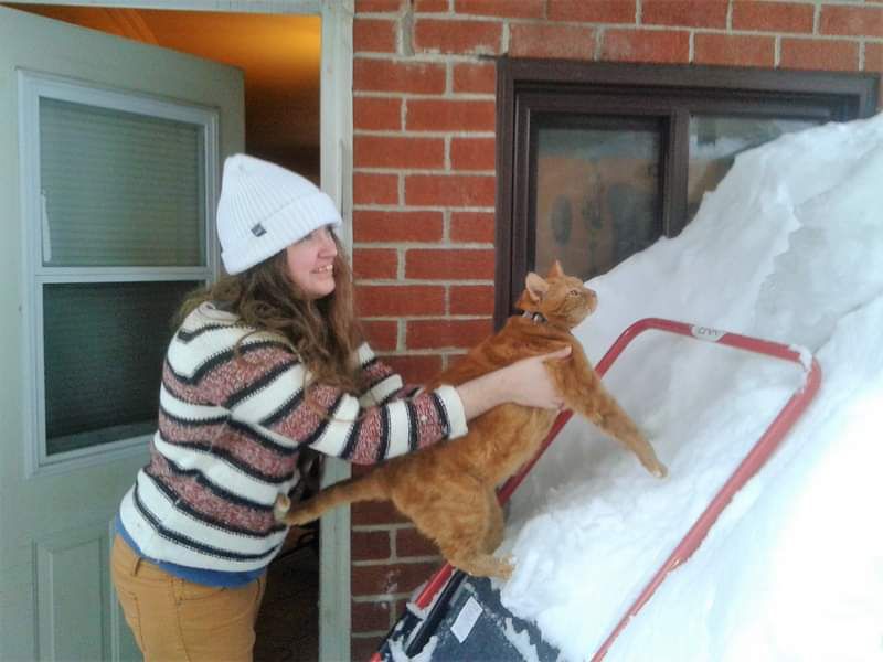 Je tiens Clément le chat à bout de bras au-desssus d'une montagne de neige un hiver où nous avions reçu d'importantes quantités de neige. Nous regardons tout deux vers le coin supérieur droit.