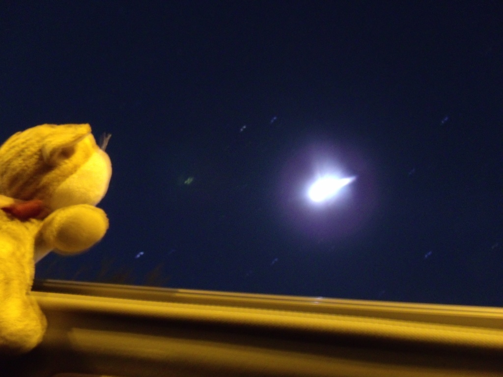 Clément II, la peluche jumelle de Clément le chat, stargazing du toit ouvrant de la voiture de location en Colombie-Britannique. La lune et les étoiles s'offrant à sa vue.