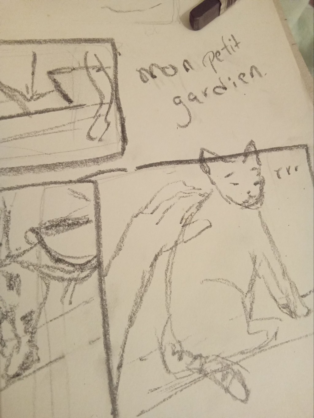 Tracer la silhouette d&rsquo;un fantôme&nbsp;félin