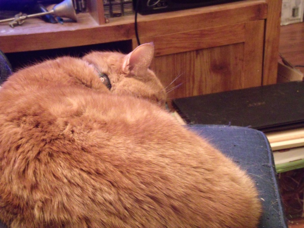 Lutter contre l&rsquo;effritement des moments&nbsp;ordinaires