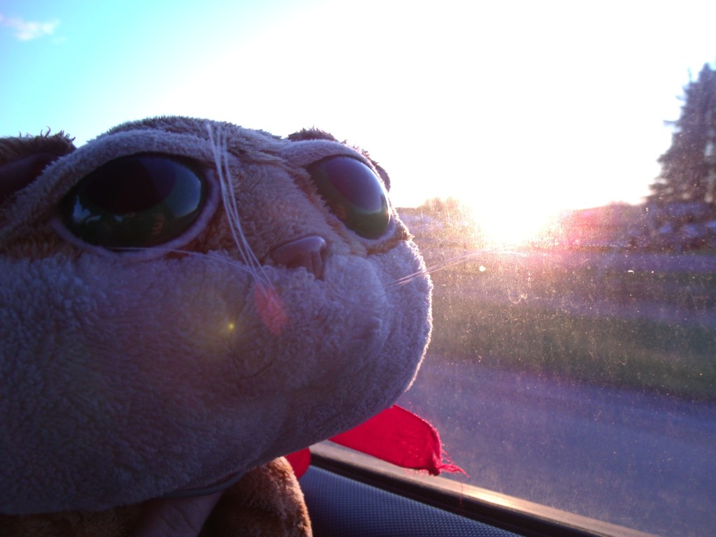 Le printemps en cavale de Clément II