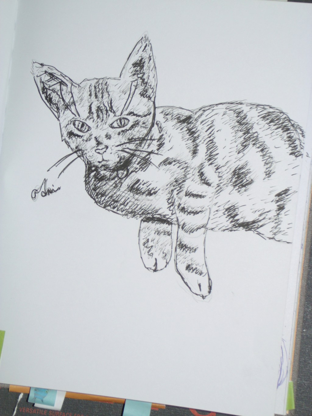 Mode estival enclenché pour la Miaougraphie dessinée de Clément