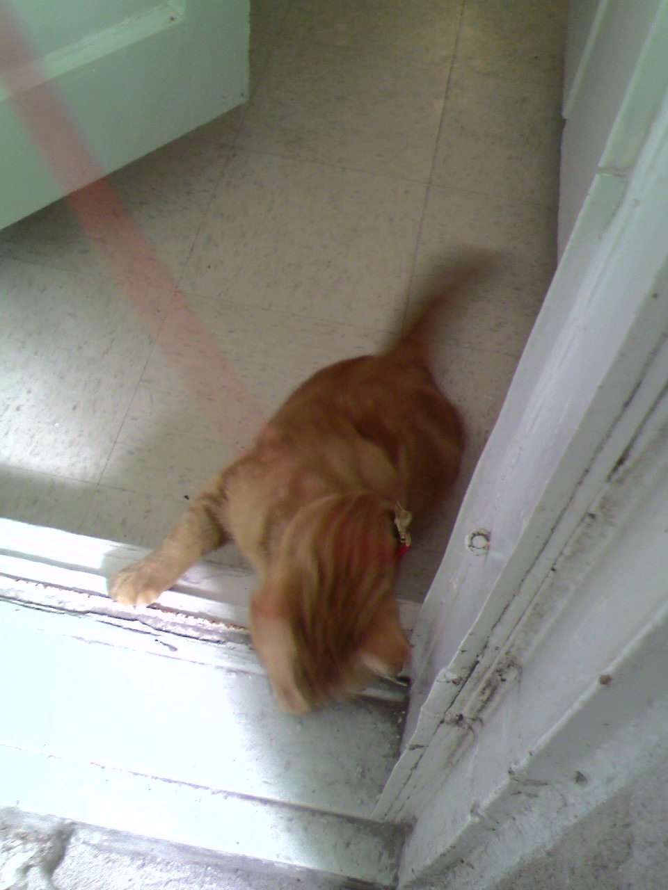 Où Clément n&rsquo;en fait qu&rsquo;à sa&nbsp;tête