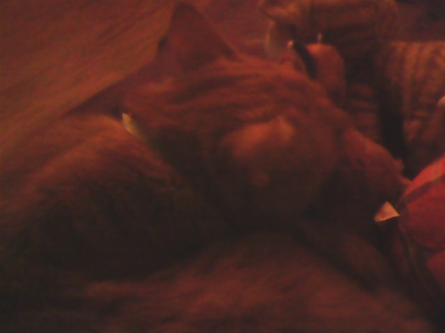 Ce qui passe entre les mailles et ce qui reste dans le filet de la mémoire&nbsp;numérique