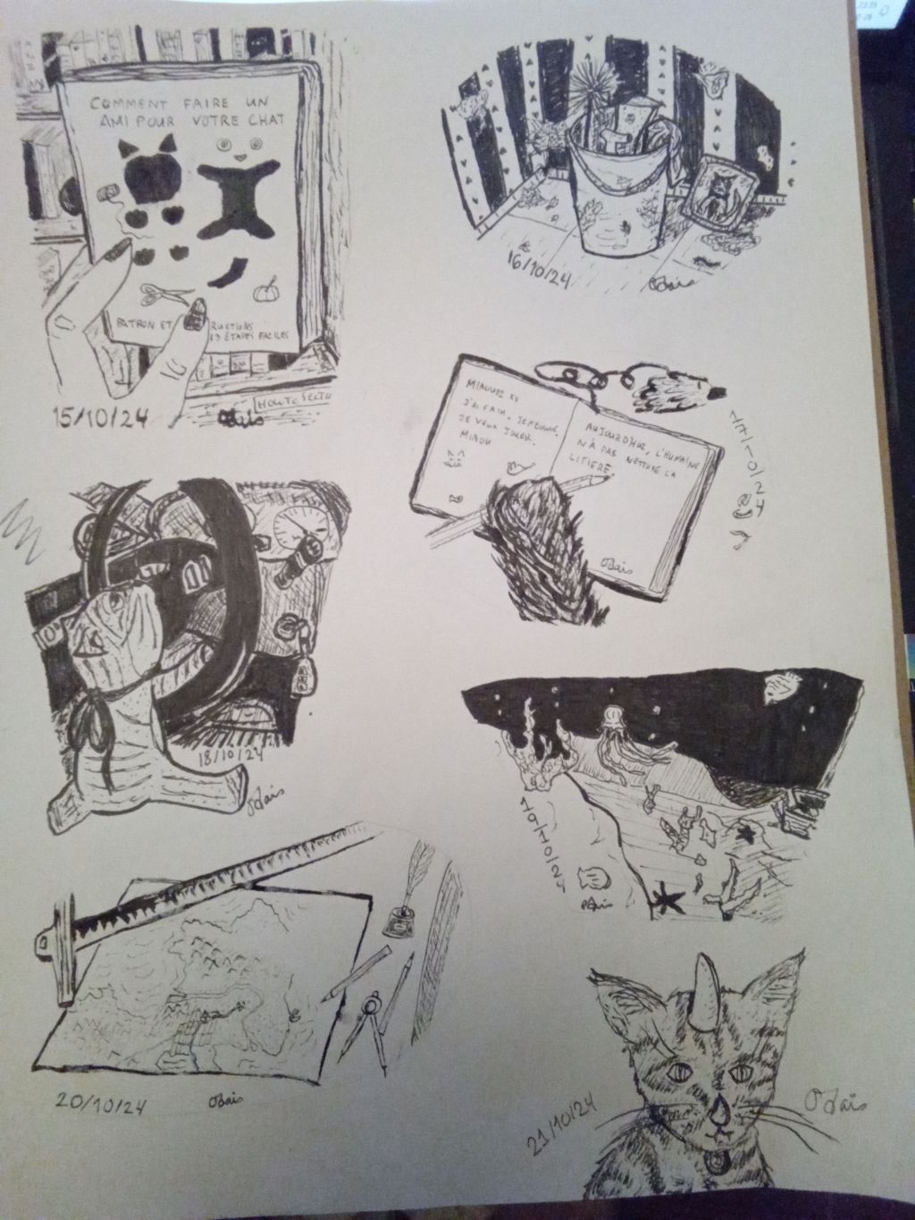 Dans ce qui me réconforte #15