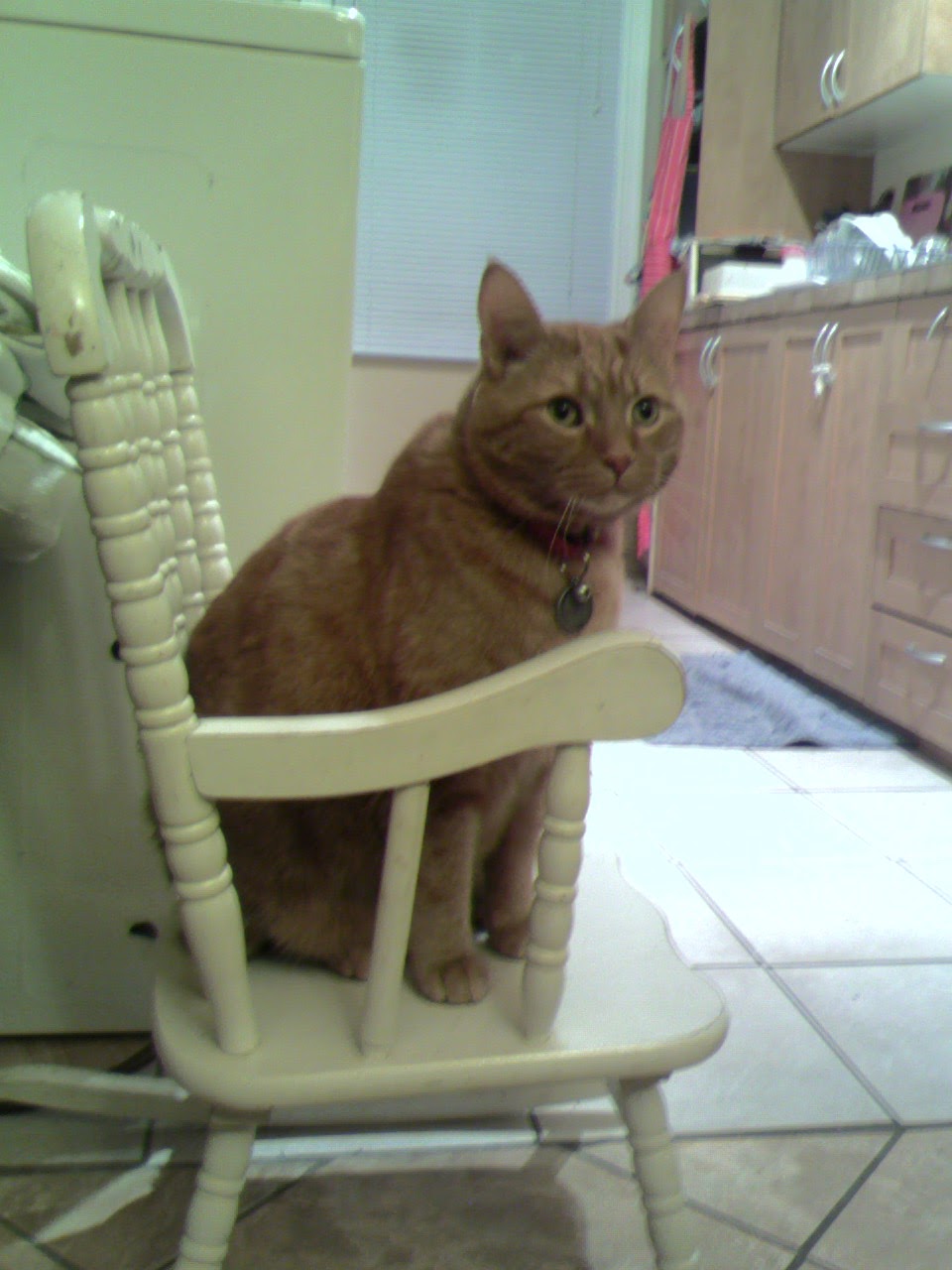 Comment Clément nous rappelait que c&rsquo;était jour de&nbsp;lessive