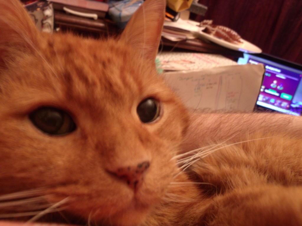 Moi, Clément et les jeux&nbsp;vidéo