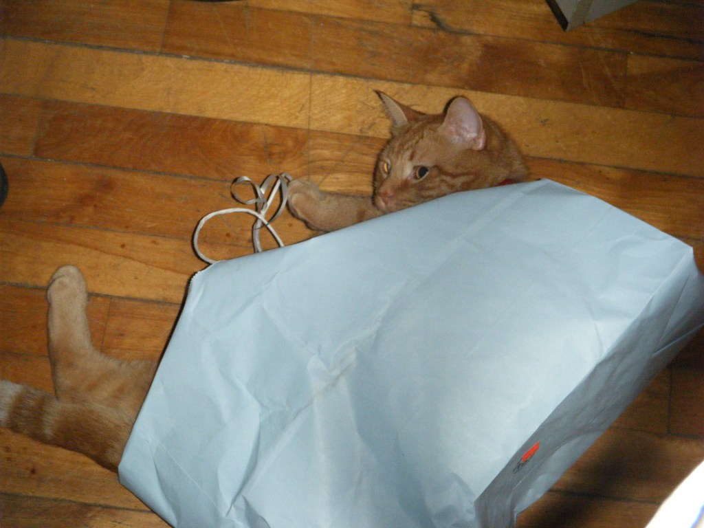 Le chat sort enfin du sac&nbsp;!