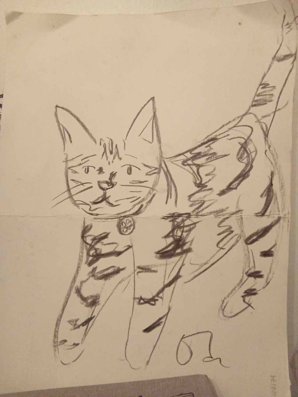 Quelques lignes qui&nbsp;fusent