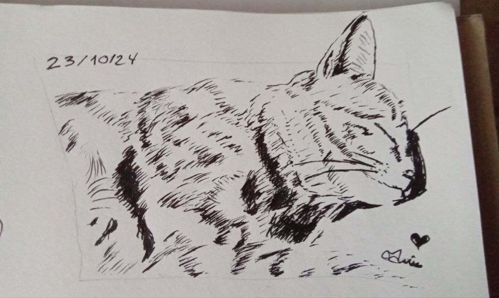 Un mois intense de dessin en&nbsp;revue