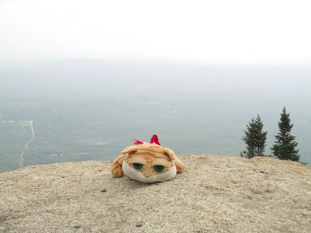 La suite de la Mi-août racontée par Clément&nbsp;II