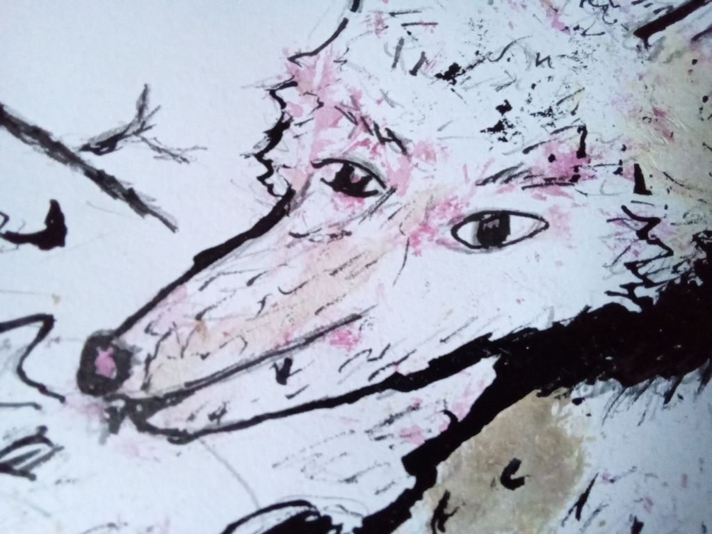 Un vendredi de renardises