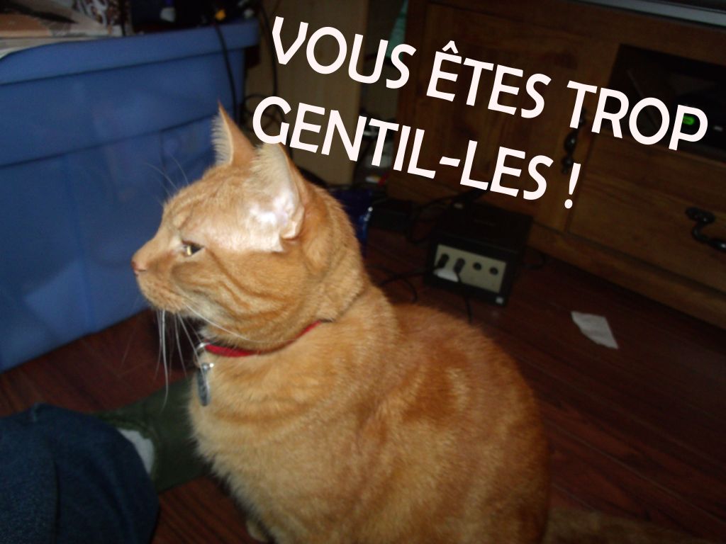 Avec les compliments du&nbsp;roi