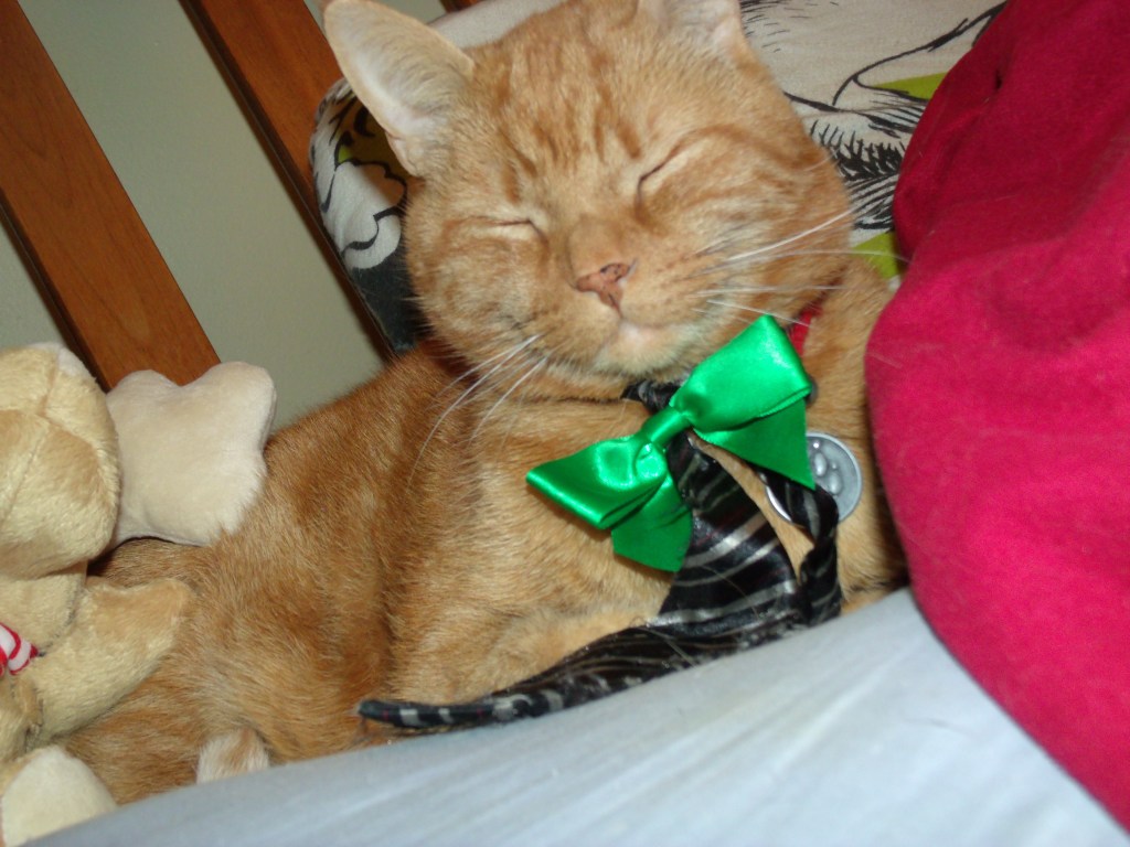 Un Jour de Clément sous le signe des mille et un atours d&rsquo;un chat très&nbsp;élégant