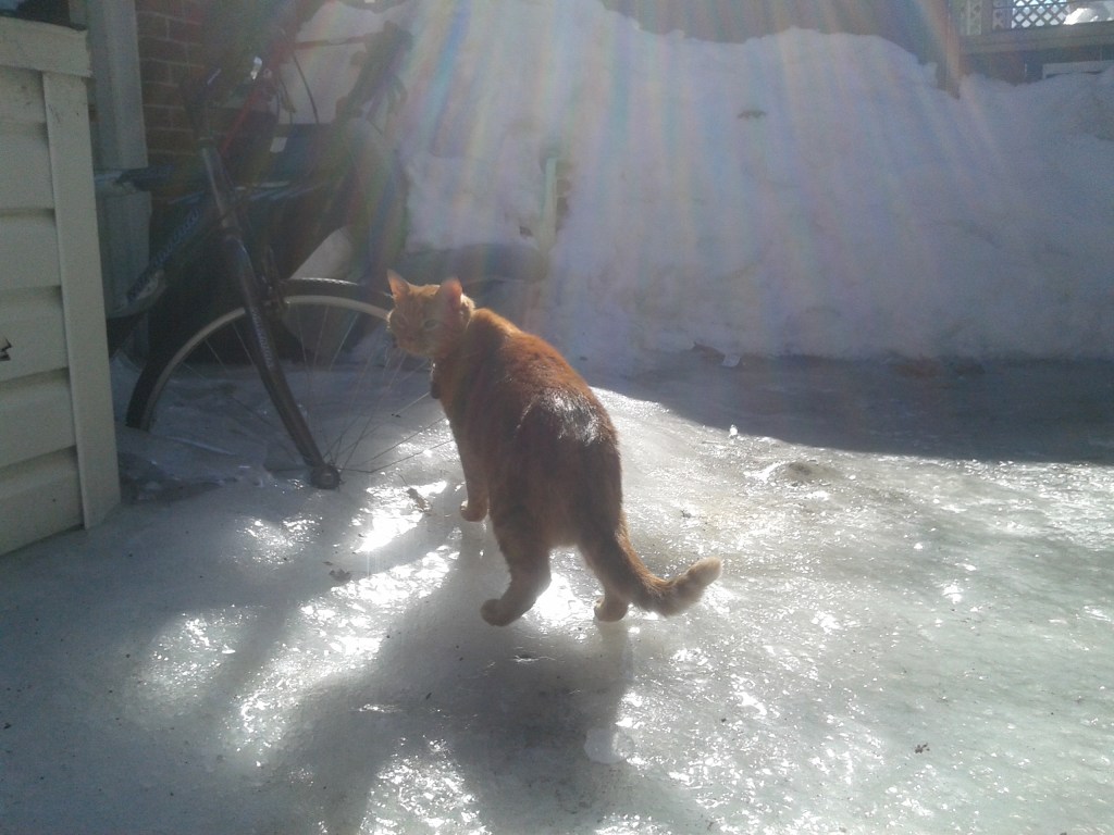 Le printemps, déjà ?