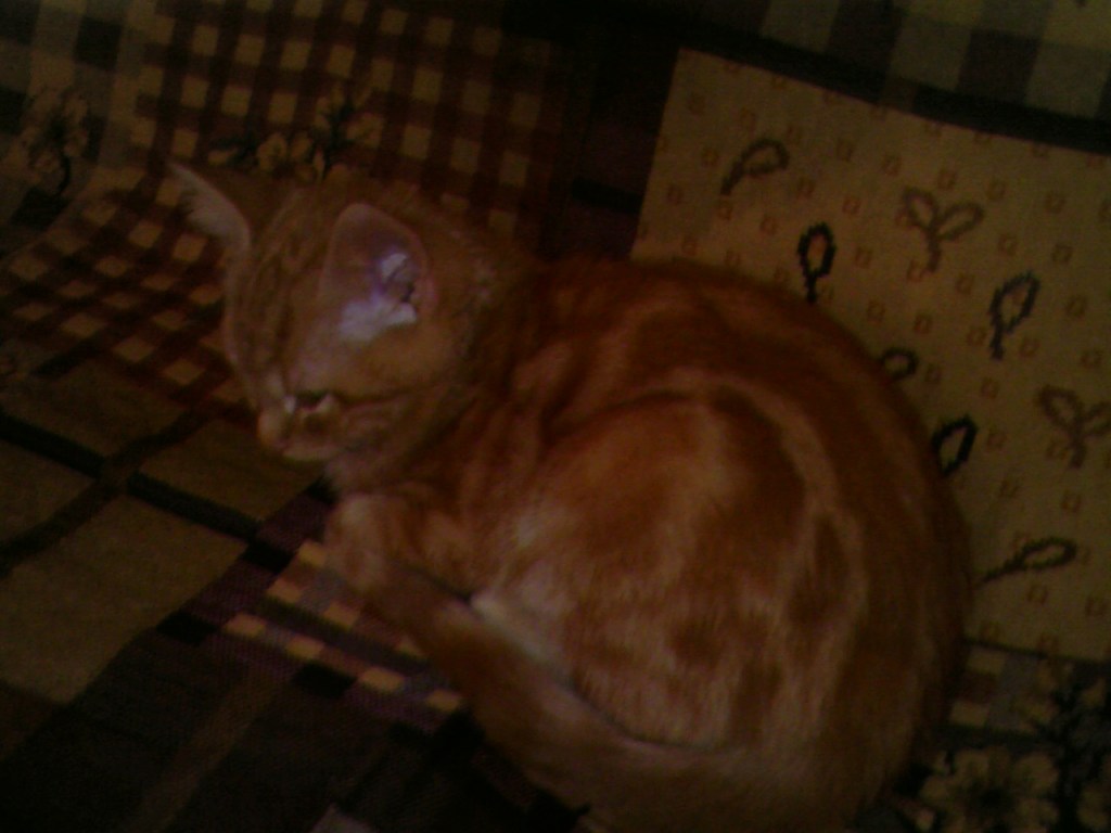 Clément sous-exposé