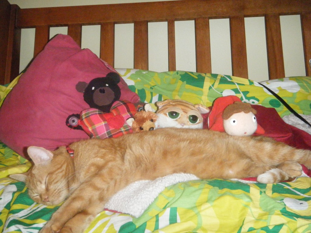 Une journée, c&rsquo;est pas assez&nbsp;!