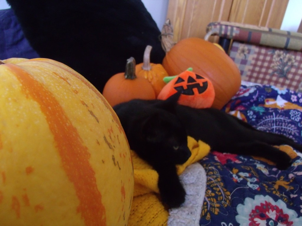 Un vendredi féérique nouveau genre (ou pas)