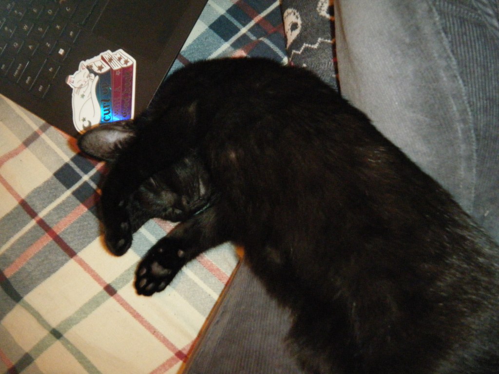 Gigi et le chocogate