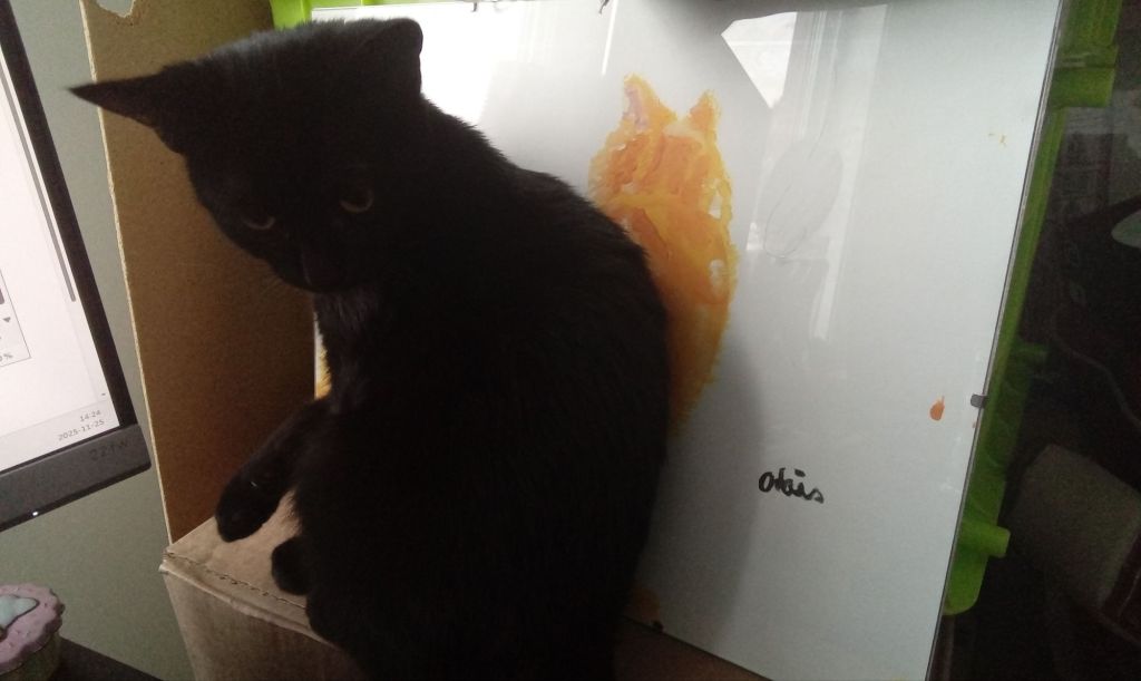 Gigi la câline, chaton noir profond, assise devant le portrait à l'acrylique de Clément de dos, elle bloque de son corps en partie le portrait, mais on voit la tête tournée de Clément. Comme s'ils étaient dos à dos.